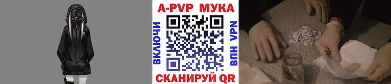 A PVP СК  Березники 