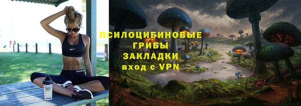винт Богданович