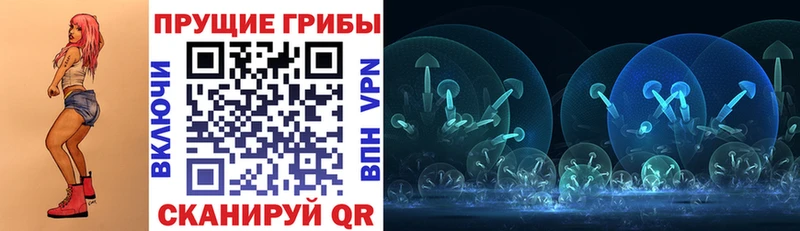 Псилоцибиновые грибы Psilocybe  хочу   Березники 